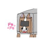 犬トラちゃん！（個別スタンプ：11）