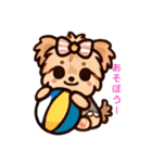 可愛いヨークシャーテリアと空と癒し（個別スタンプ：7）