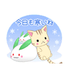 飛び出す！ちびにゃんこ15【冬】（個別スタンプ：7）