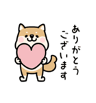 動く♡柴犬わんこステッカー（個別スタンプ：6）