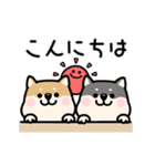 動く♡柴犬わんこステッカー（個別スタンプ：10）