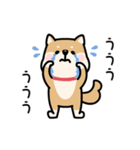 動く♡柴犬わんこステッカー（個別スタンプ：18）