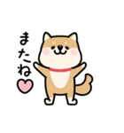 動く♡柴犬わんこステッカー（個別スタンプ：24）