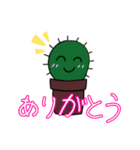 ゆるーいサボテンちゃん（個別スタンプ：5）