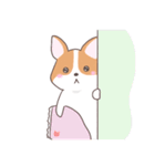 猫を愛するコーギー（個別スタンプ：12）