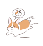 猫を愛するコーギー（個別スタンプ：23）