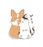 猫を愛するコーギー（個別スタンプ：32）