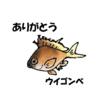 fish in the sea 16（個別スタンプ：1）