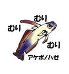 fish in the sea 16（個別スタンプ：8）