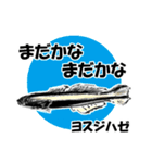 fish in the sea 16（個別スタンプ：15）