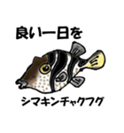 fish in the sea 16（個別スタンプ：16）