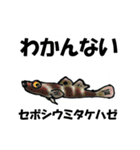 fish in the sea 16（個別スタンプ：20）