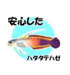 fish in the sea 16（個別スタンプ：24）