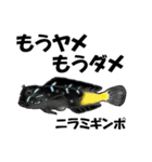 fish in the sea 16（個別スタンプ：28）