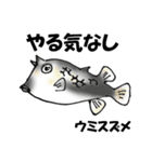 fish in the sea 16（個別スタンプ：29）