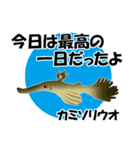 fish in the sea 16（個別スタンプ：38）