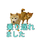 まめころのスタンプの巻（個別スタンプ：16）