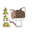 ばーばん家の猫たち（個別スタンプ：24）