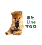 リアクションする柴犬【連絡用・日常会話】（個別スタンプ：3）