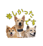 ナナ家のスタンプの巻（個別スタンプ：6）