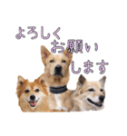 ナナ家のスタンプの巻（個別スタンプ：10）