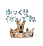 ナナ家のスタンプの巻（個別スタンプ：18）