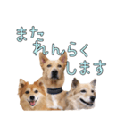 ナナ家のスタンプの巻（個別スタンプ：23）