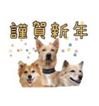 ナナ家のスタンプの巻（個別スタンプ：29）
