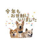 ナナ家のスタンプの巻（個別スタンプ：32）