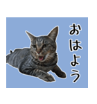 【ららみ】のスタンプ（個別スタンプ：1）