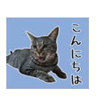 【ららみ】のスタンプ（個別スタンプ：2）