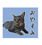 【ららみ】のスタンプ（個別スタンプ：3）