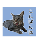 【ららみ】のスタンプ（個別スタンプ：8）