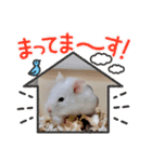 ウコの日常（個別スタンプ：15）