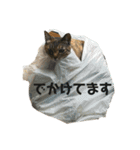 ネコWorld（個別スタンプ：8）