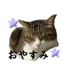 ごえもん日和20（個別スタンプ：6）