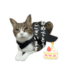 ごえもん日和20（個別スタンプ：8）