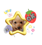OKです❤クレオ君とマリーちゃん（個別スタンプ：1）