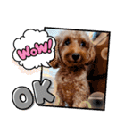 OKです❤クレオ君とマリーちゃん（個別スタンプ：7）