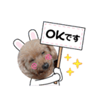 OKです❤クレオ君とマリーちゃん（個別スタンプ：9）