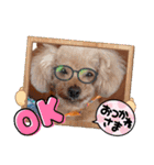 OKです❤クレオ君とマリーちゃん（個別スタンプ：11）