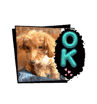 OKです❤クレオ君とマリーちゃん（個別スタンプ：12）