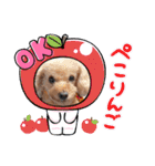 OKです❤クレオ君とマリーちゃん（個別スタンプ：15）