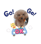 OKです❤クレオ君とマリーちゃん（個別スタンプ：22）