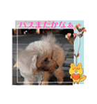 OKです❤クレオ君とマリーちゃん（個別スタンプ：26）
