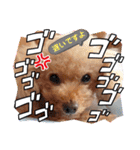 OKです❤クレオ君とマリーちゃん（個別スタンプ：28）