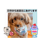 OKです❤クレオ君とマリーちゃん（個別スタンプ：30）