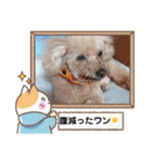 OKです❤クレオ君とマリーちゃん（個別スタンプ：32）
