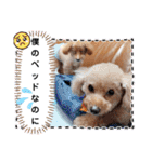 OKです❤クレオ君とマリーちゃん（個別スタンプ：35）