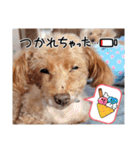 OKです❤クレオ君とマリーちゃん（個別スタンプ：36）
